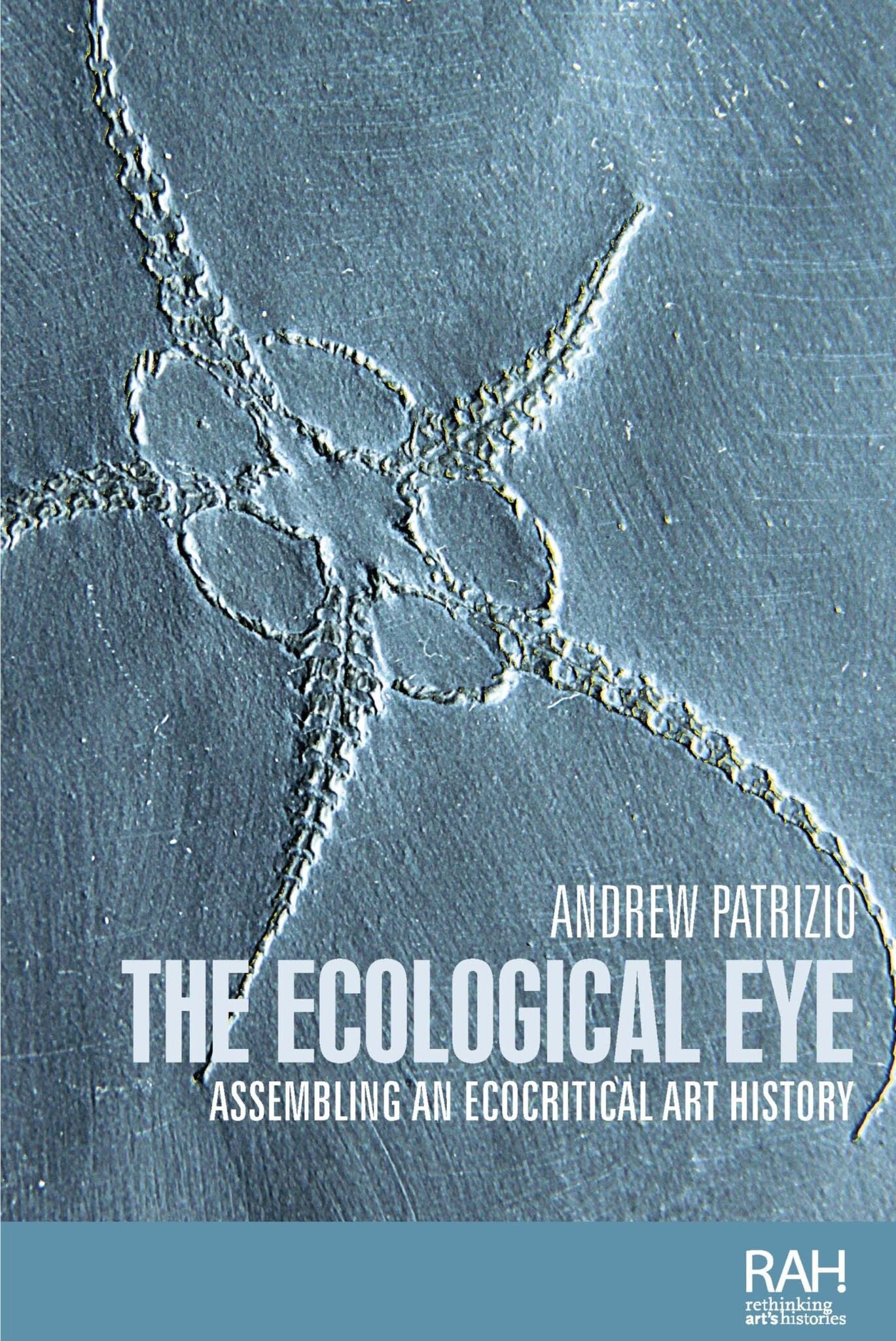 Cover image for The ecological eye ISBN 9781526121561
